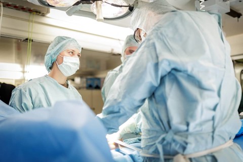 Doctors and paramedics from the Bundeswehr medical service simulate an operation on a wounded