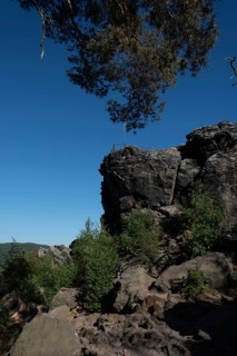 Grandfather Rock, part of the Devil's Wall, Blankenburg, Saxony-Anhalt, Germany, Europe