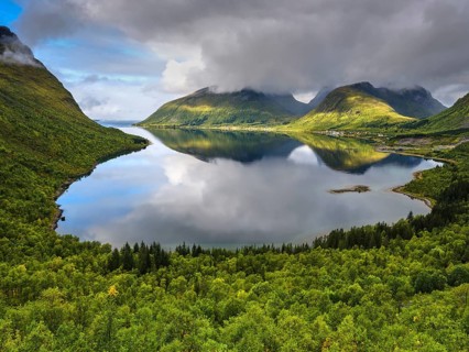 View of the Steinfjord, misty mountains, green landscape, Senja, Norway, Europe