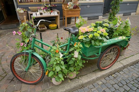 Tricycle, Flowers, Nature, Plants, Gerberau, Old Town, Freiburg im Breisgau, Baden-Wuerttemberg,