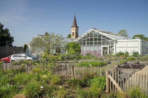 Graefin von Zeppelin perennial nursery, Sulzburg, Baden-Wuerttemberg, Germany, Europe