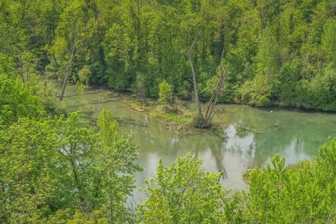 Rhine floodplain, oxbow lake, tributary of the Rhine in the Rappennestgiessen nature reserve,