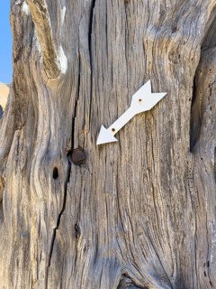 Arrow-marked projectile fired in 1866 by Turks Ottomans Ottoman Empire during attack on Arkadi