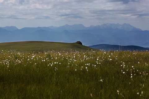 Saualpe, view to the Karawanken, Carinthia, Austria, Europe