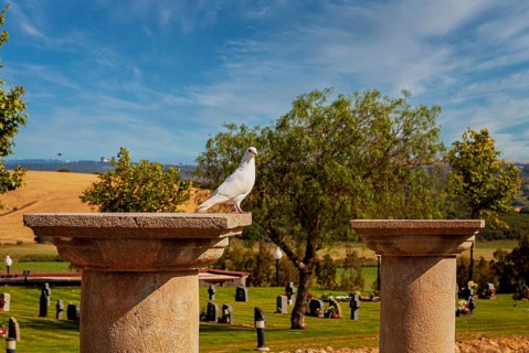 Large cemetery with tombs and religious symbols in Chiclana, Andalusia, Spain, Europe