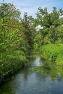 Rhine floodplain, oxbow lake, tributary of the Rhine in the Rappennestgiessen nature reserve,