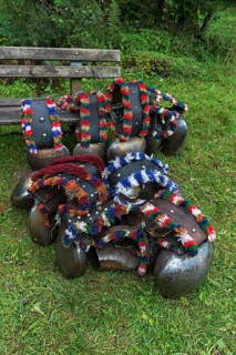 Cow jewellery bells, prepared for the cattle drive, gabled house, Bad Hindelang, Allgaeu, Bavaria,