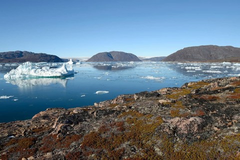 Arctic autumn colours and icebergs, Bredefjord near Narsaq, southwest Greenland