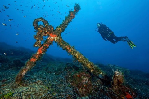 Scuba diver diver looking at large old anchor stock anchor of galleon standing on seabed,