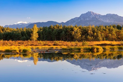 Schonramer Filz, a raised bog near Traunstein, Bavaria in the evening light