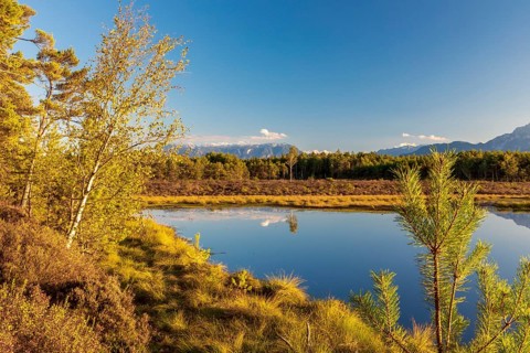 Schonramer Filz, a raised bog near Traunstein, Bavaria in the evening light