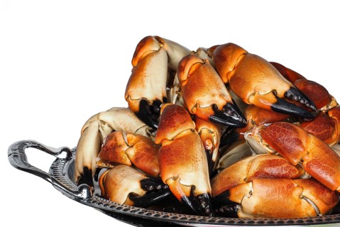 Pile of fresh boiled crab claws on a silver tray, isolated on white background