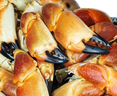 Pile of orange boiled with black tip, crab claws, at closeup