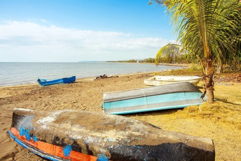 On the beach of Playa Tarcoles Costa Rica