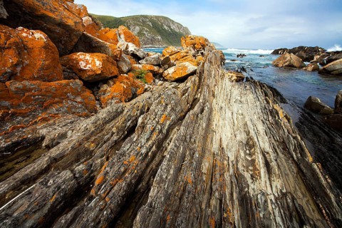 Tsitsikamma National Park South Africa