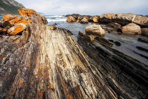 Tsitsikamma National Park South Africa