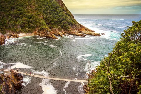 Tsitsikamma National Park South Africa