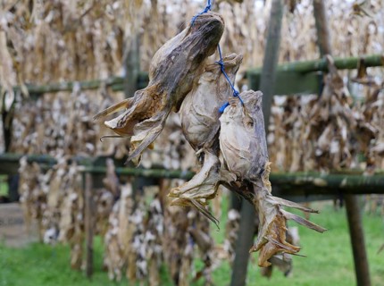 Dried fish and fish heads