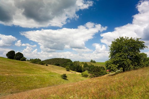 Mountainous landscape in summer Hummelshain, Thuringia, Germany, Europe