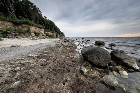 Steep coast, Poel Island, Mecklenburg-Western Pomerania, Germany, Europe
