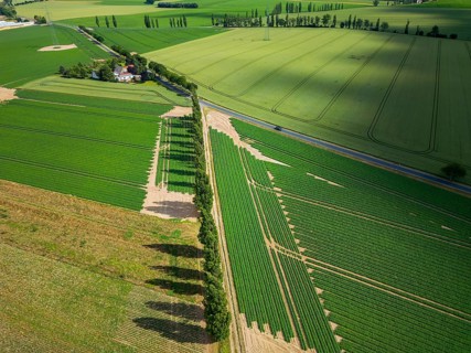 The Gert Harz farm near Lommatzsch propagates wild plants on a total of 70 hectares, Agriculture,