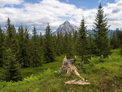 Mountain peaks and alpine landscape, Rottenmanner Tauern, Styria, Austria, Europe