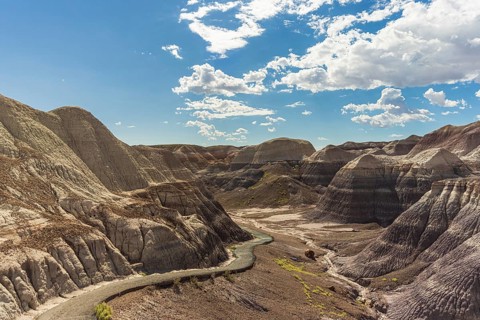 Petrified Forest National Park Vistas