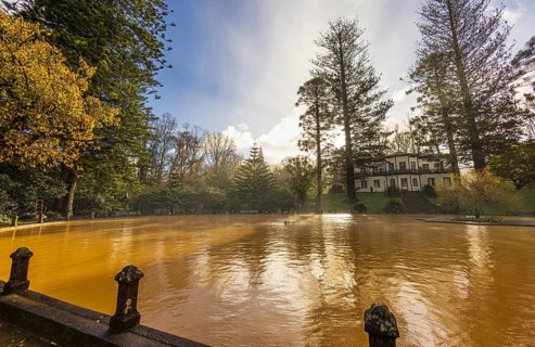 The famous yellow thermal pool in the Terra Nostra botanical garden at Furnas, Sao Miguel island,
