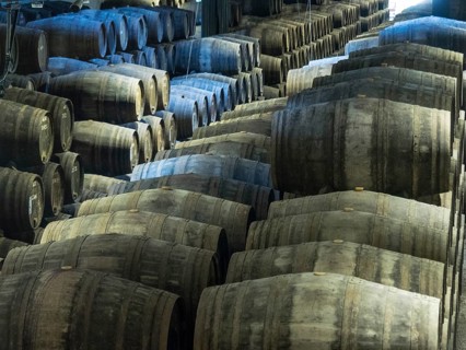 Rows of large wooden wine barrels stacked in a dark warehouse, Porto, Douro, Portugal, Europe