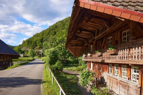 Black Forest houses and street in the Geschwend district, Todtnau, Black Forest, Lorrach district,