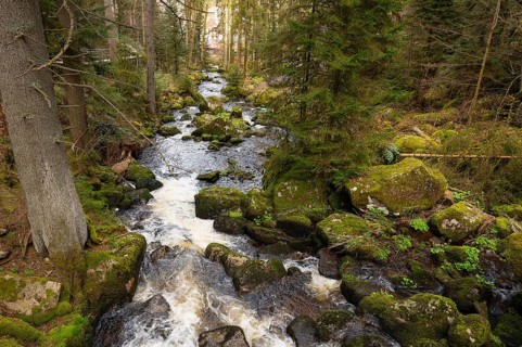 Triberg waterfall in the Black Forest, highest fall in Germany, Gutach river plunges over seven