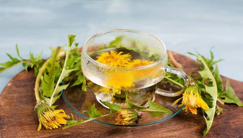 Dandelion wildflower tea, glass with herbal hot drink, alternative medicine for detox, leaves and