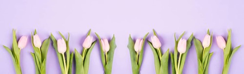 Tulips greeting card for birthday, easter holiday, valentines day, mothers day, spring season