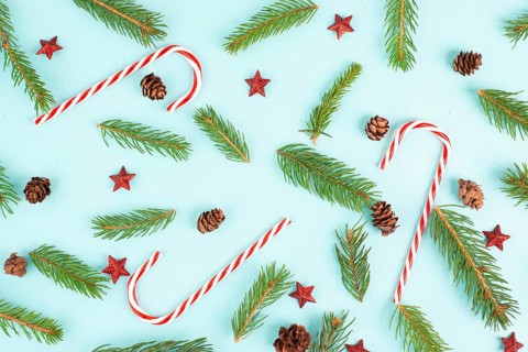 Christmas holiday background with candy cane, fir branches, pine cones and red stars, winter season