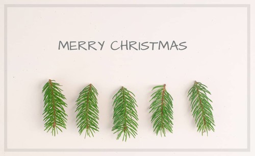 Christmas and new year holiday greeting card and background, winter landscape with fir trees, copy