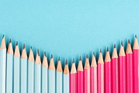 Blue and pink colored pencils building a row, copy space for text, back to school, education
