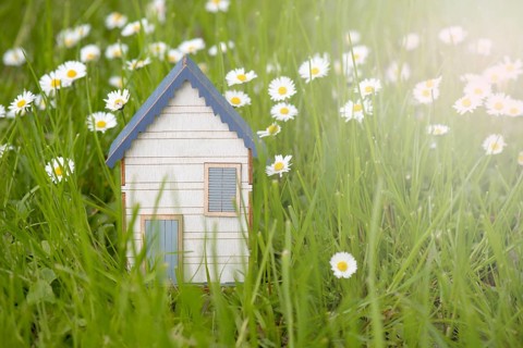 Wooden house in a meadow, buying or renting a house in nature, real estate concept, booking home
