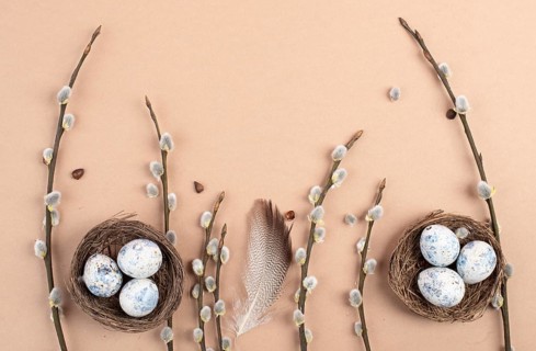 Easter holiday background, nest with small eggs, branches of pussy willow, greeting card, spring
