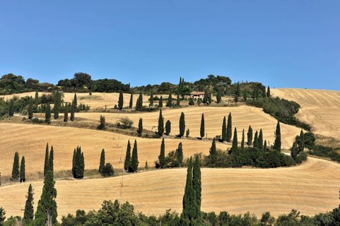 Cypress avenue La Foce, Tuscany, Italy, Europe, row of cypresses along rolling hills under a clear