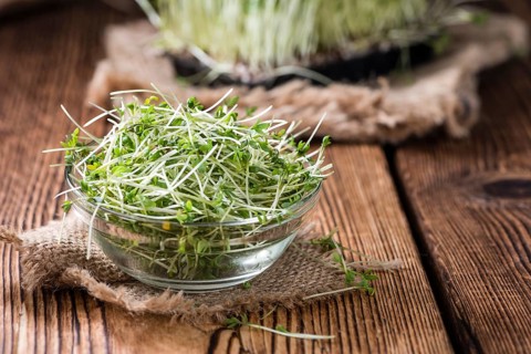 Fresh Cress (close-up shot) on rustic wooden background