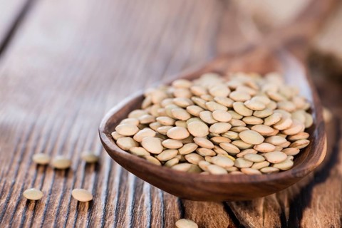 Portion of brown Lentils (detailed close-up shot)