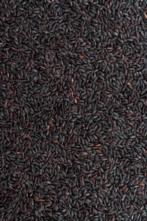 Portion of Black Rice (for use as background image or as texture)