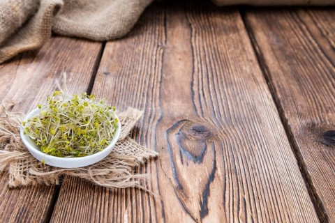 Portion of fresh Broccoli Sprouts (detailed close-up shot)