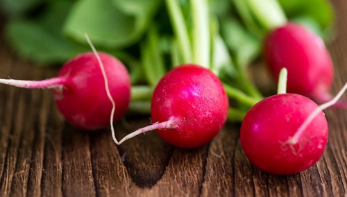 Fresh Radishes on wooden background (selective focus, close-up shot)