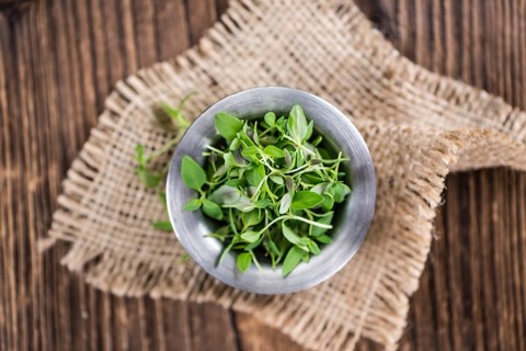 Old wooden table with fresh Thyme (close-up shot, selective focus)