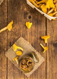 Portion of fresh Canned chanterelles close-up shot, selective focus