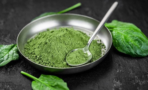Homemade green spinach powder (close up shot, selective focus)