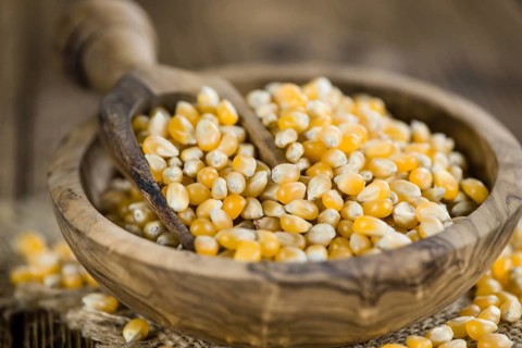 Wooden table with a portion of Corn (selective focus, close-up shot)