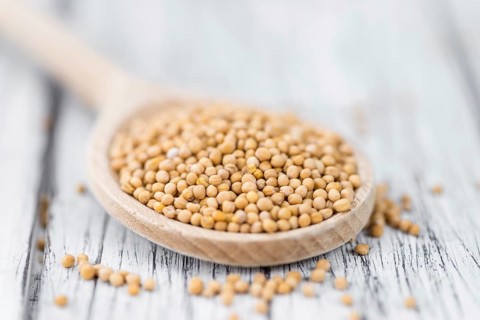 Seeds (Mustard) as high detailed close-up shot on a vintage wooden table (selective focus)