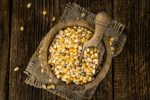 Portion of Corn (detailed close-up shot) on wooden background (selective focus)